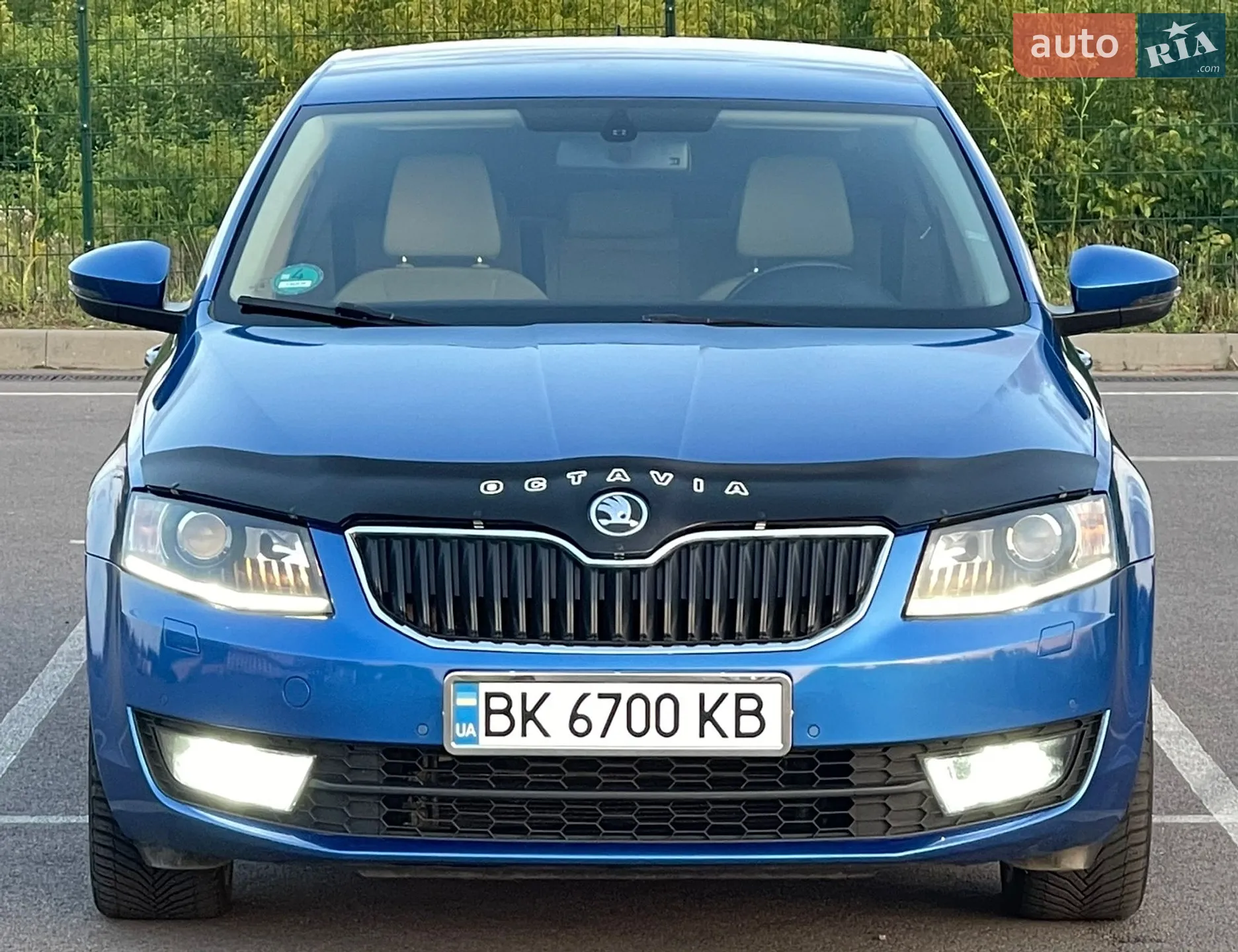 2013 Skoda Octavia - фото 1