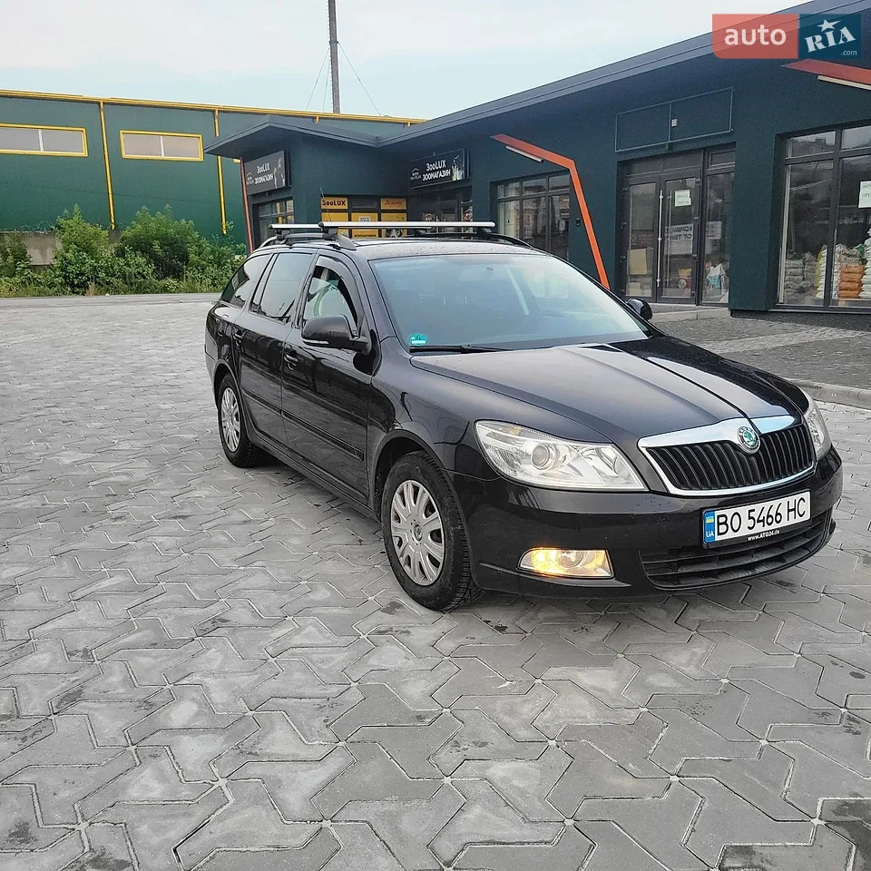 2013 Dacia Lodgy - мініатюра 12