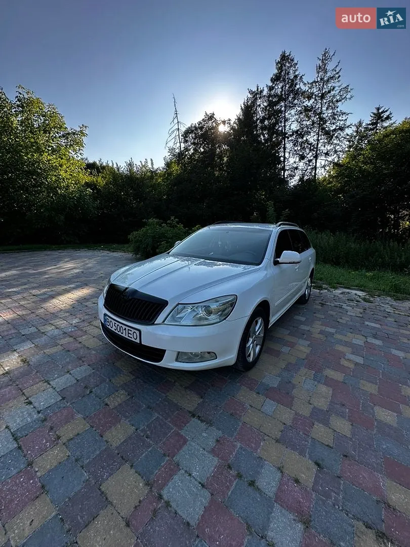 Skoda Octavia 2009 VIN TMBHT61Z8A2054081 фото оголошення 3 з 20