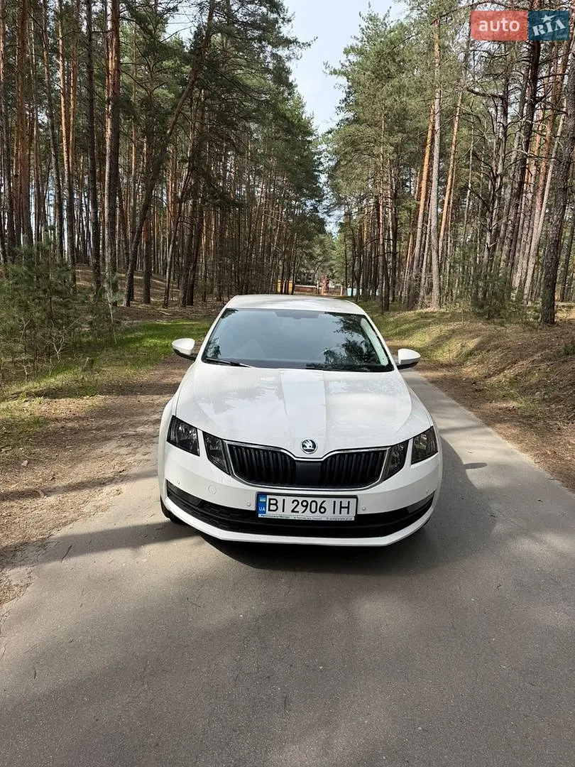 2019 Skoda Octavia - мініатюра 2