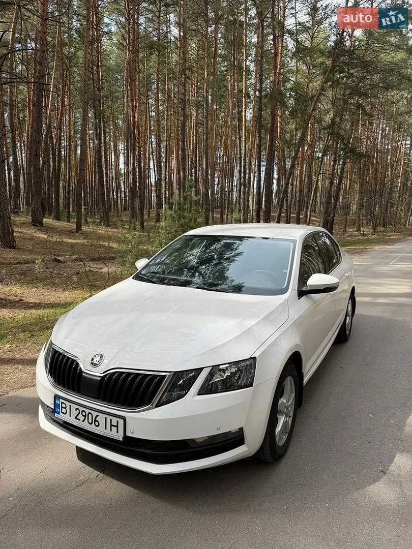 2019 Skoda Octavia - мініатюра 3