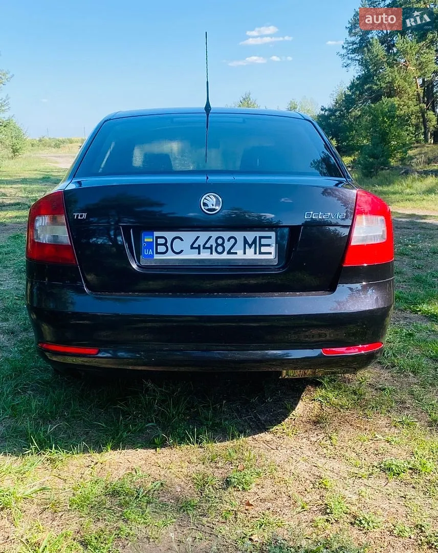 2010 Skoda Octavia - мініатюра 14