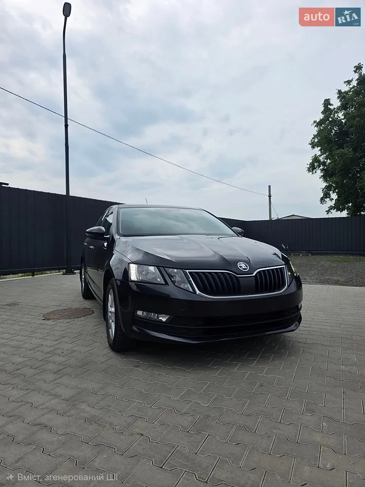 2019 Skoda Octavia - мініатюра 24