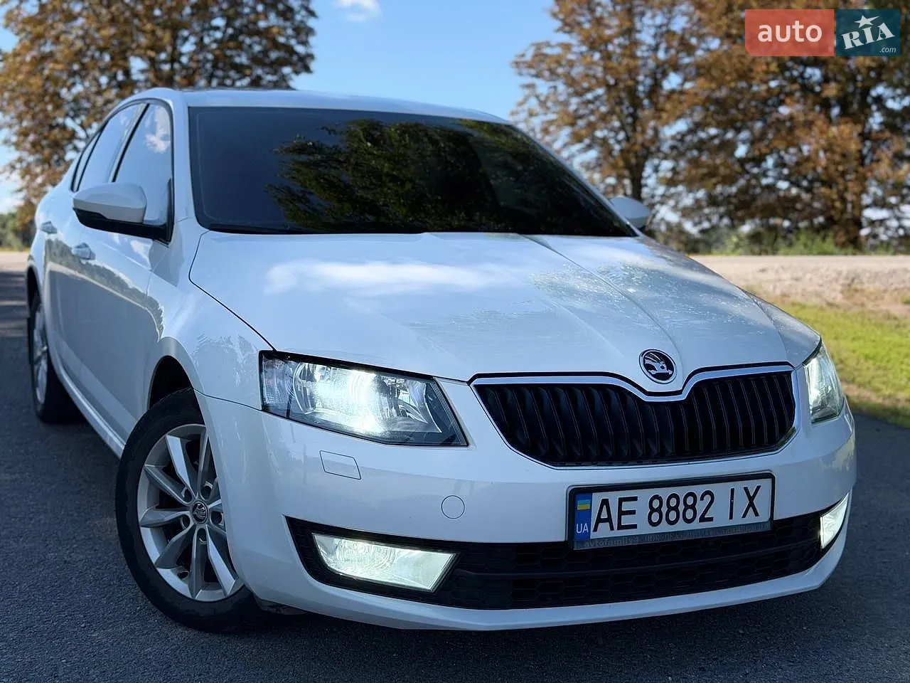 2013 Skoda Octavia - мініатюра 4