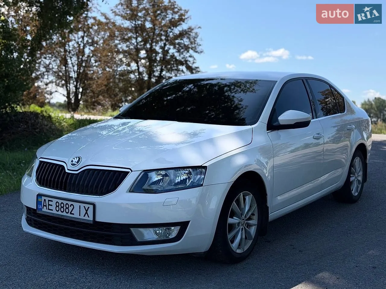 2013 Skoda Octavia - мініатюра 5