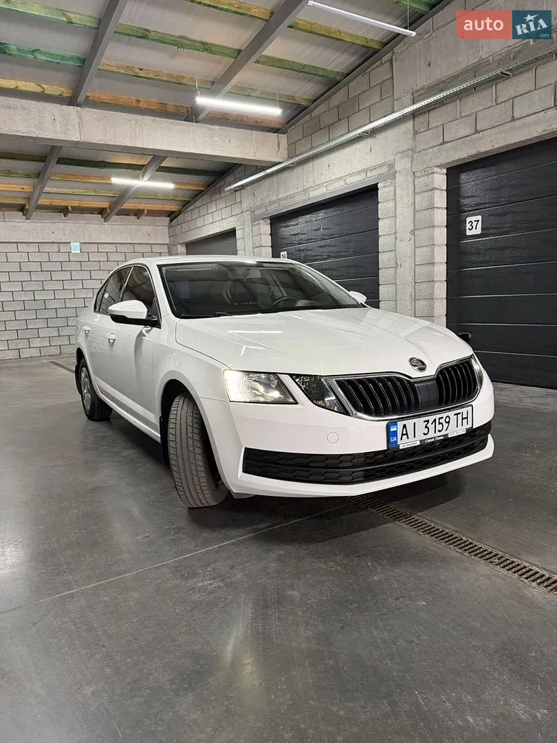 2019 Skoda Octavia - мініатюра 2
