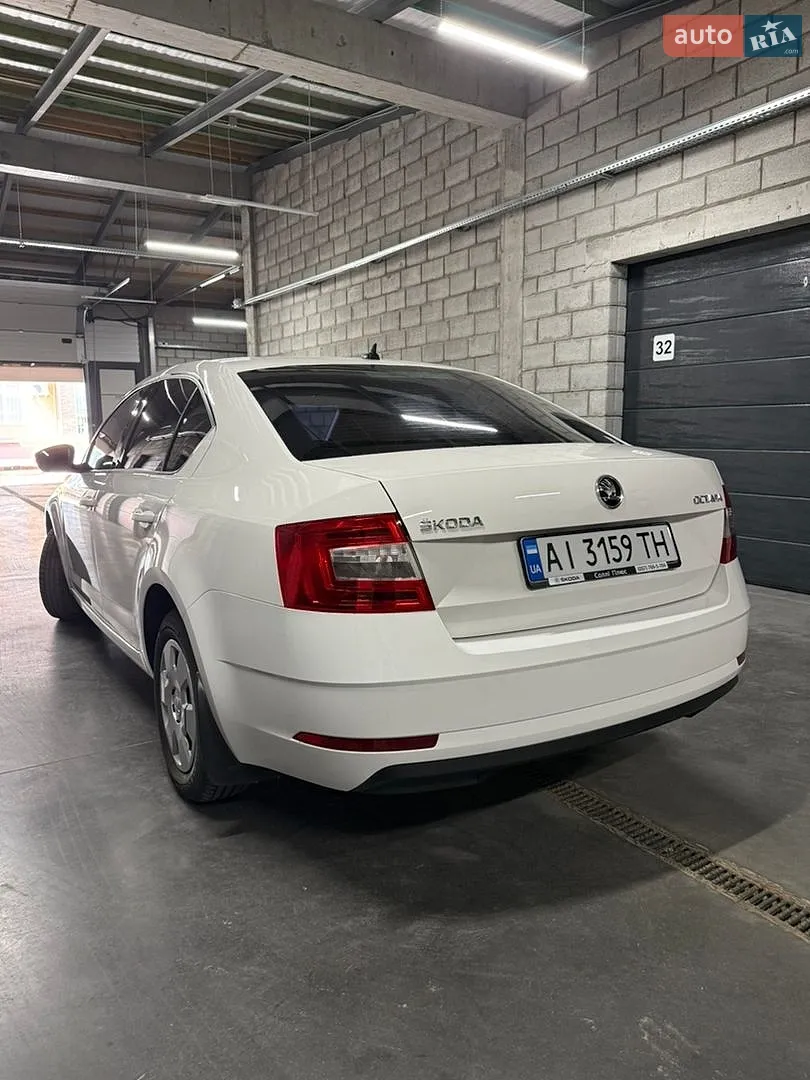 2019 Skoda Octavia - мініатюра 5