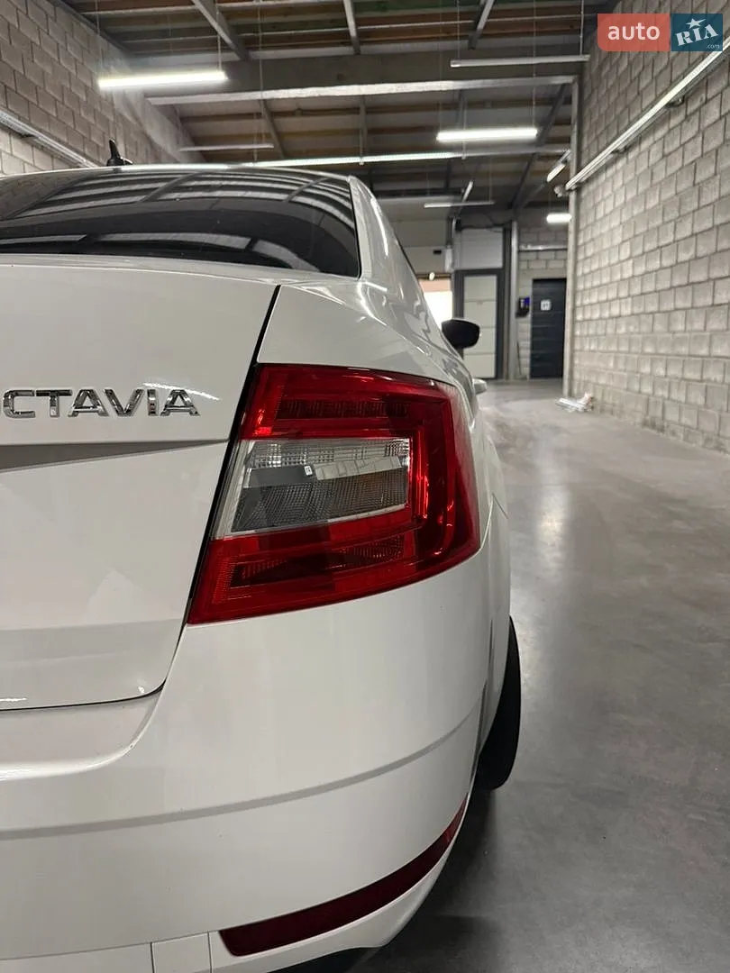 2019 Skoda Octavia - мініатюра 20
