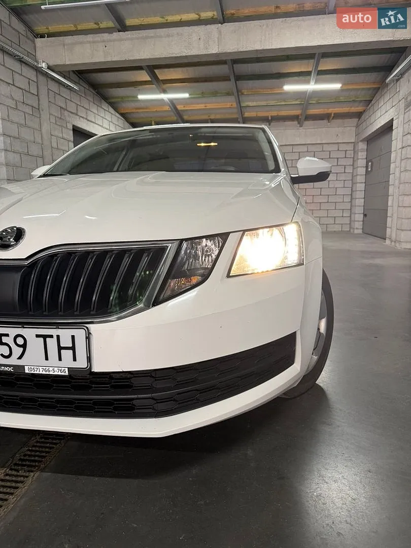 2019 Skoda Octavia - мініатюра 8
