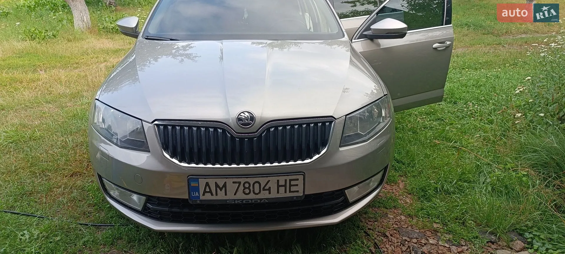 2014 Skoda Octavia - мініатюра 5