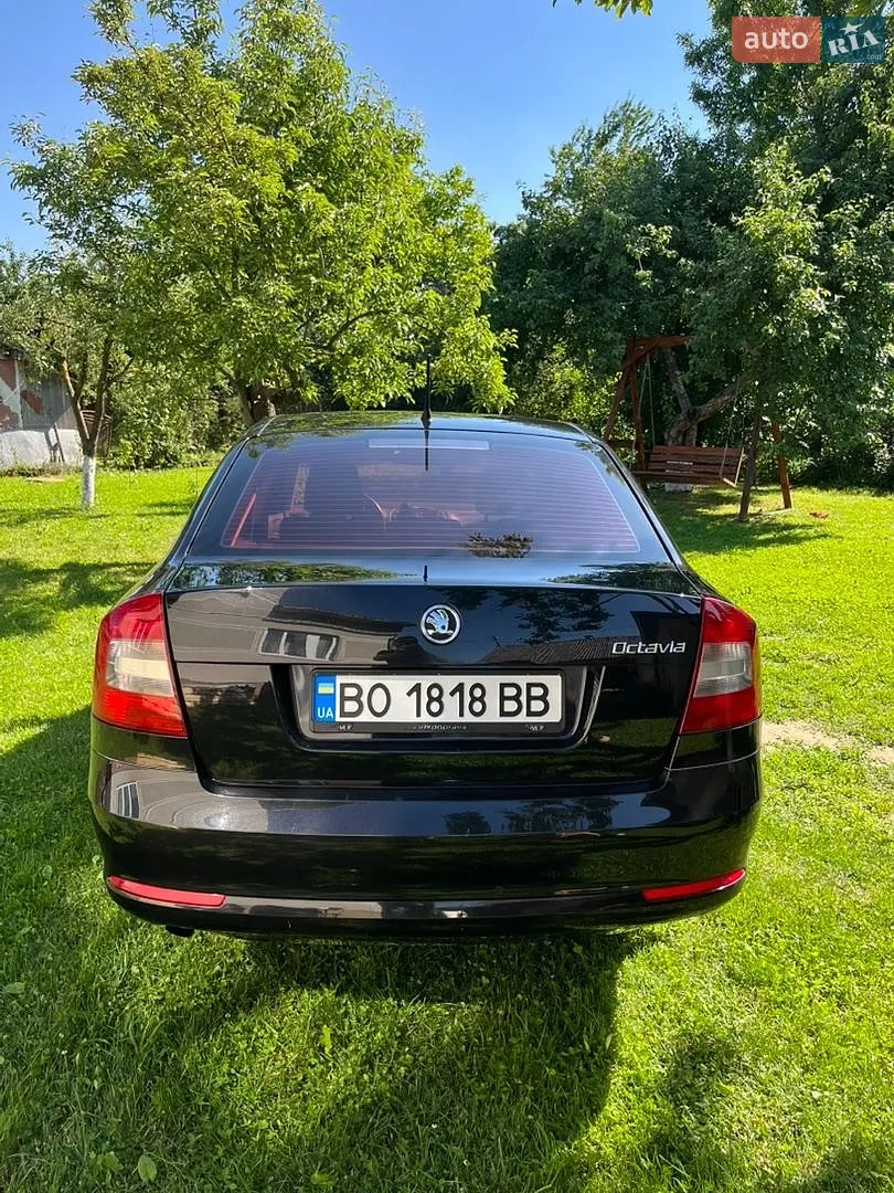 2011 Skoda Octavia - мініатюра 6