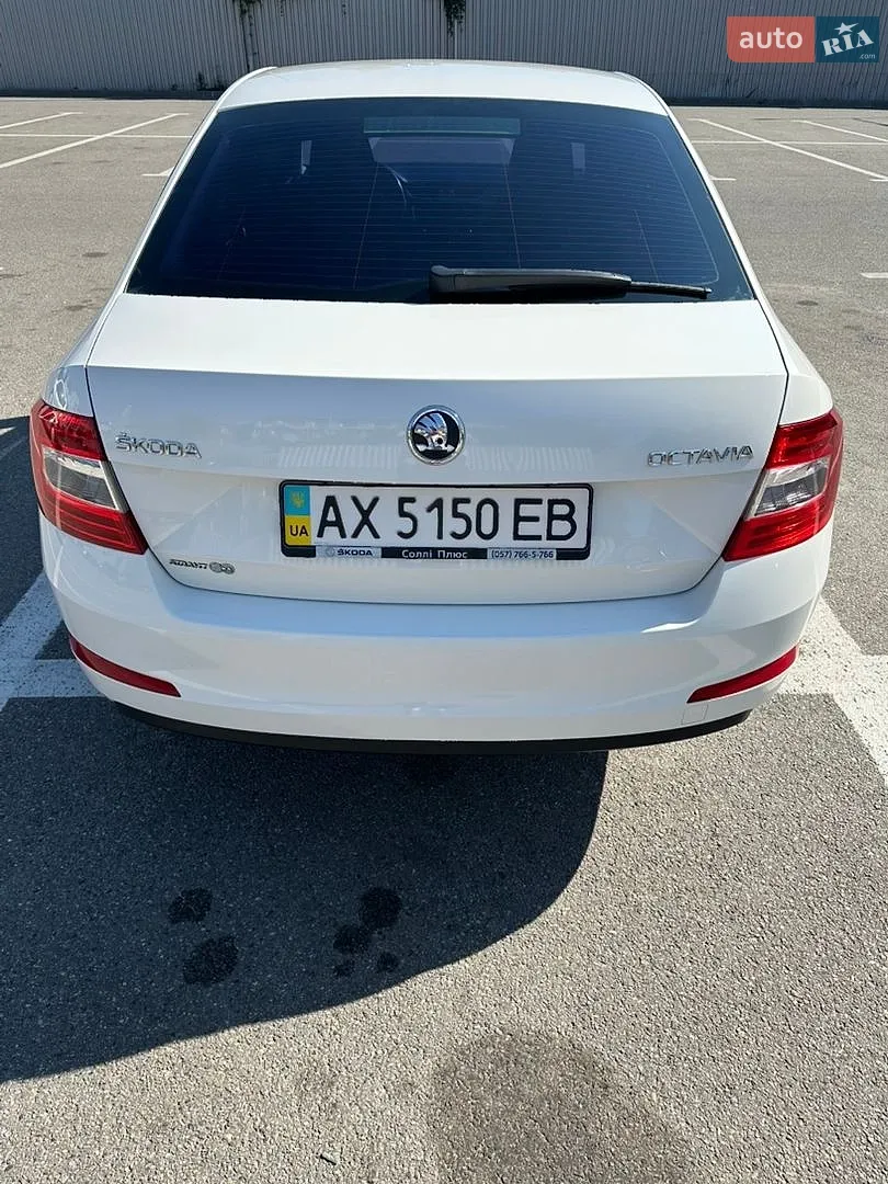 2013 Skoda Octavia - мініатюра 5