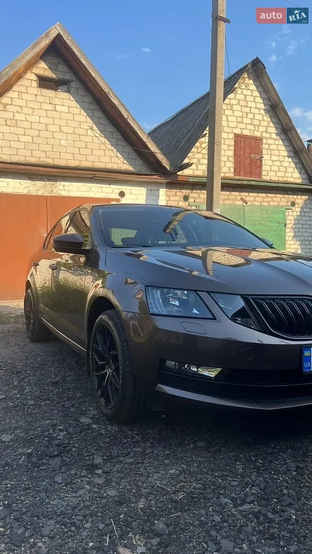2019 Skoda Octavia - фото 1