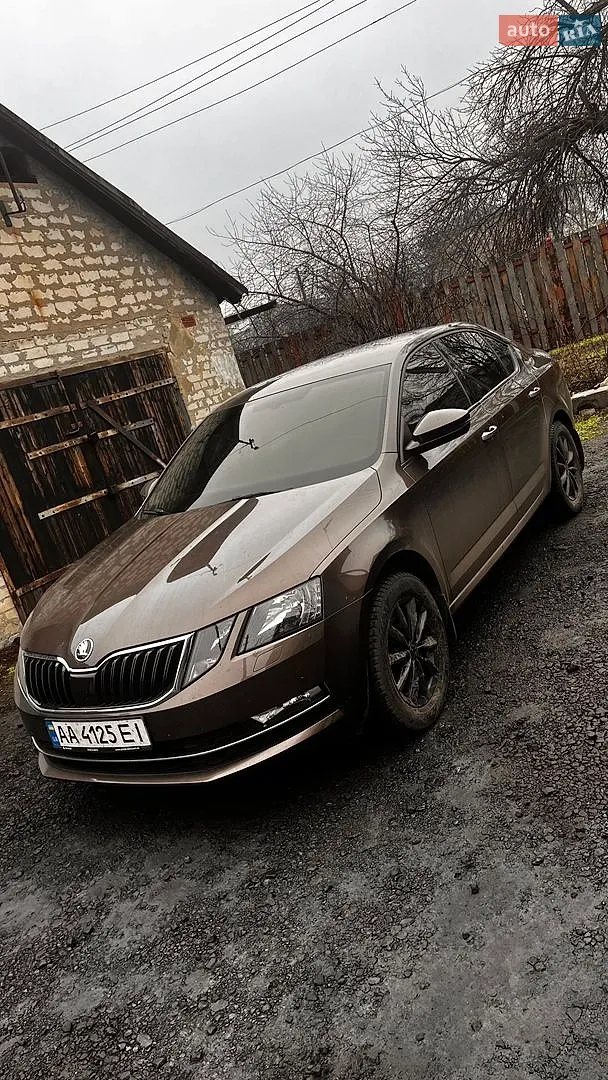 2019 Skoda Octavia - мініатюра 18