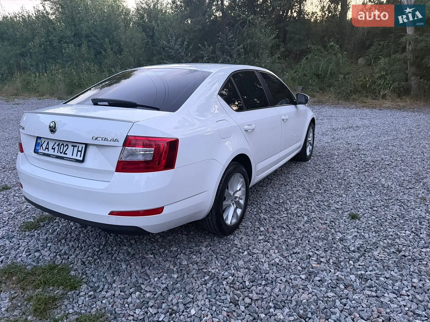 2013 Skoda Octavia - мініатюра 5