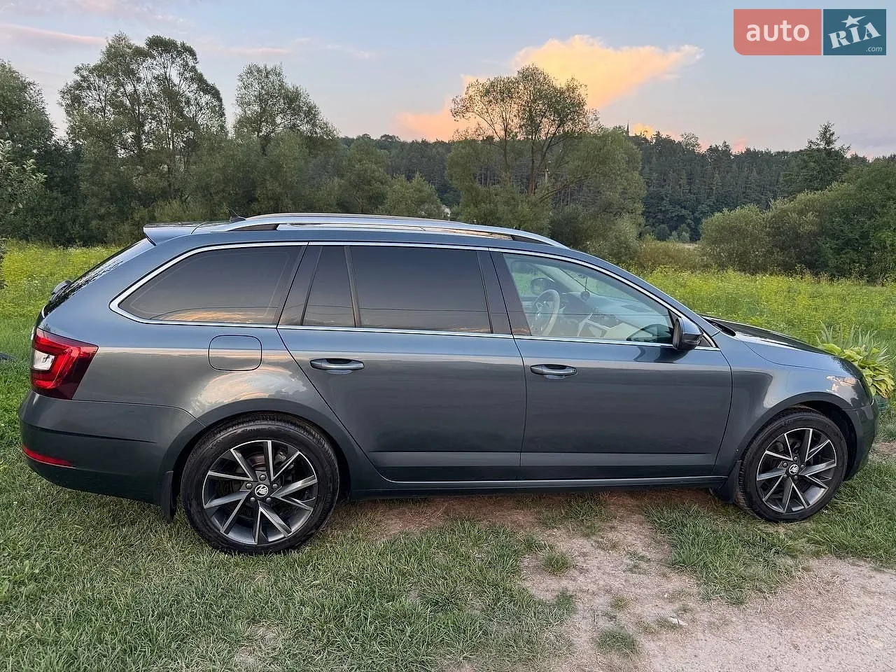 2019 Skoda Octavia - мініатюра 3