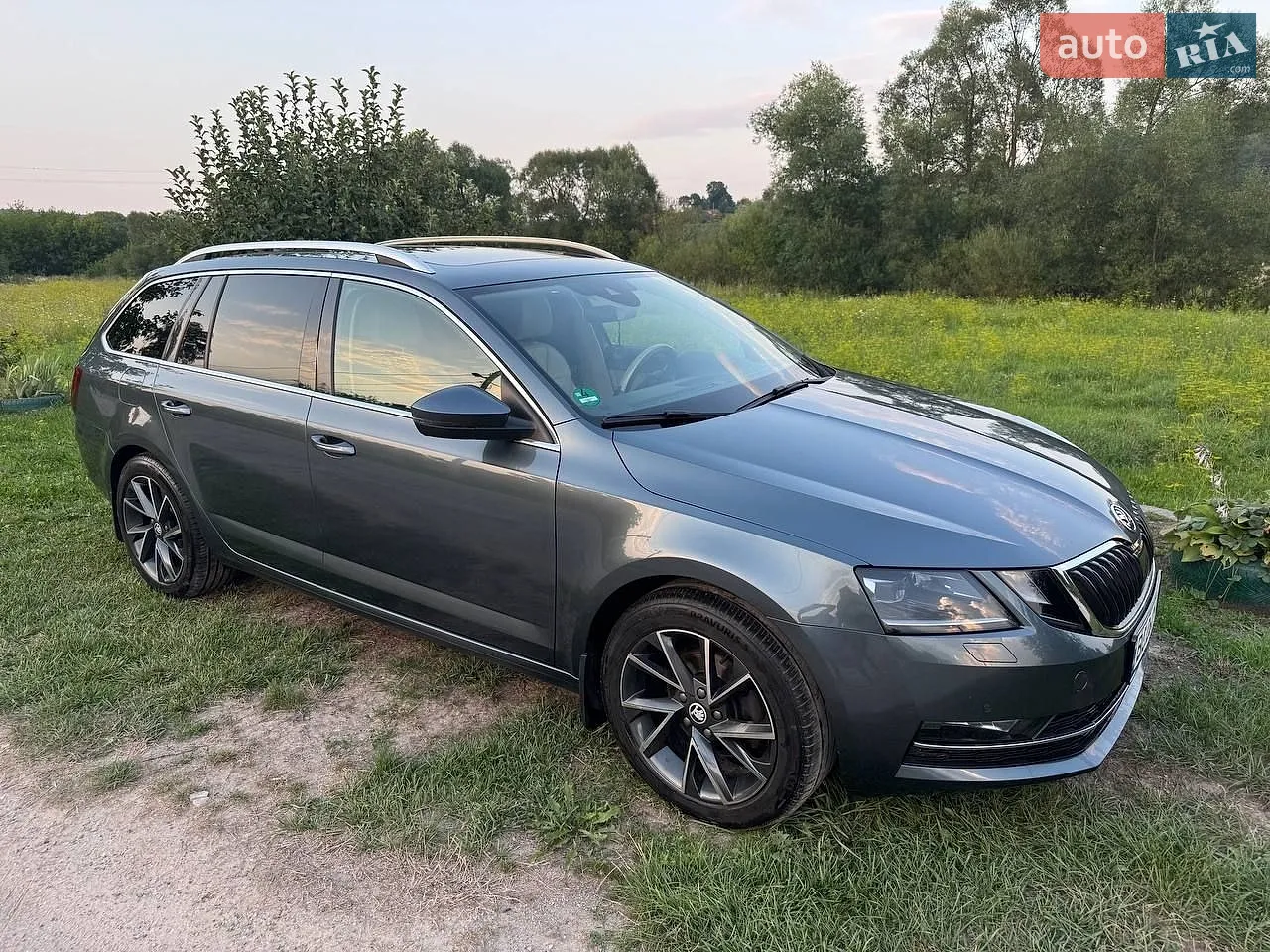 2019 Skoda Octavia - фото 1
