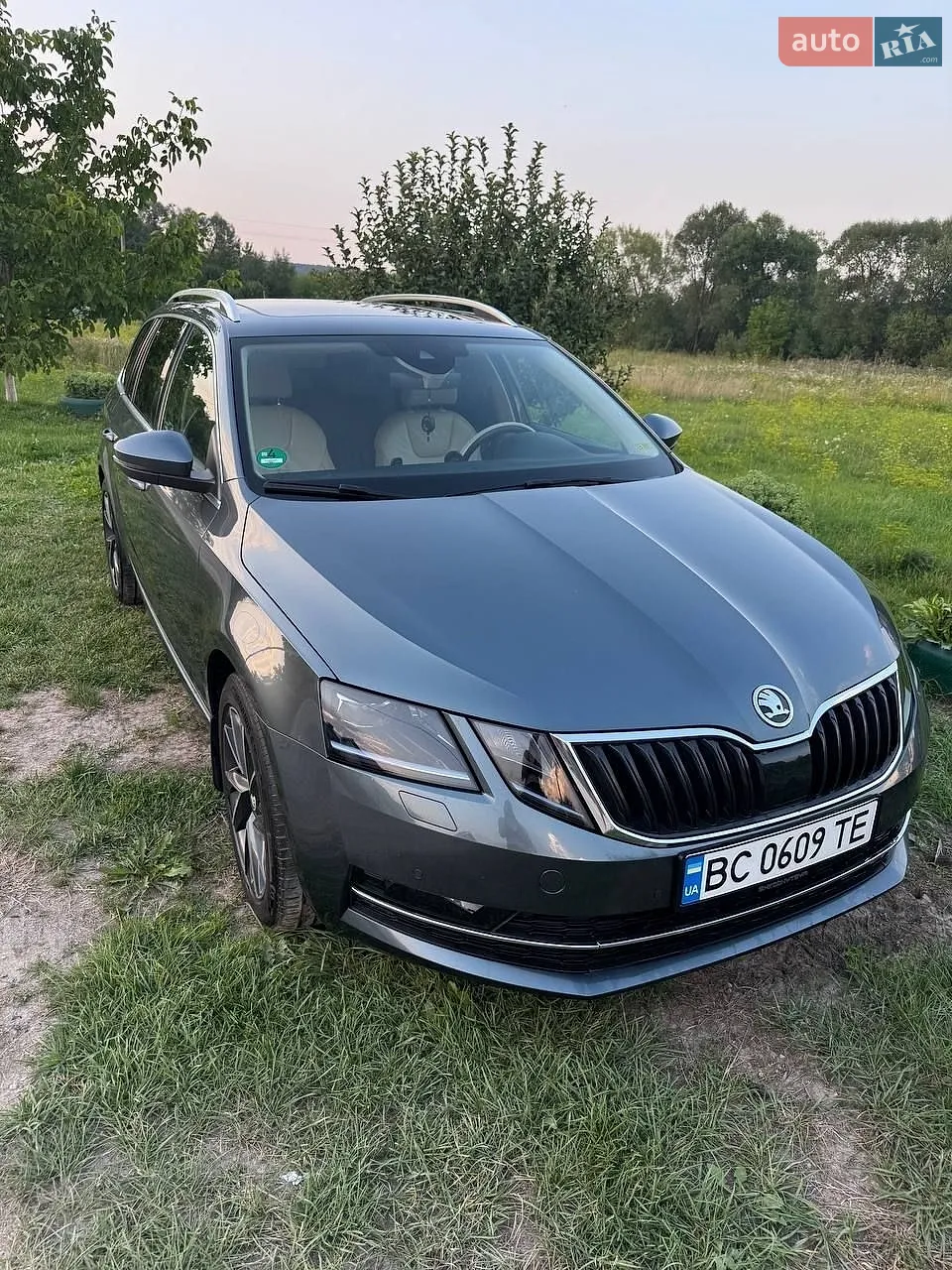 2019 Skoda Octavia - мініатюра 2