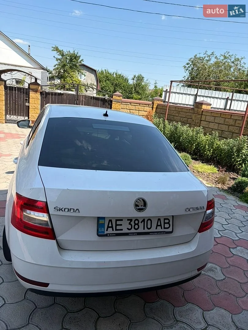 2020 Skoda Octavia - мініатюра 3