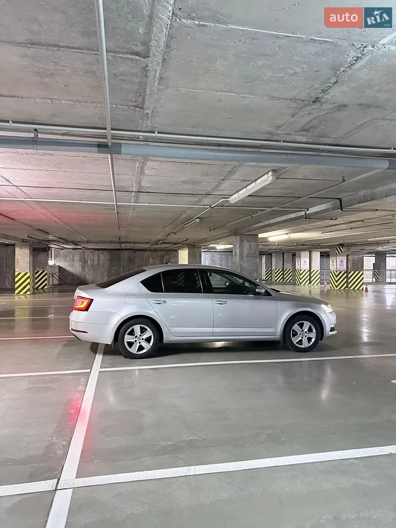 2017 Skoda Octavia - мініатюра 4