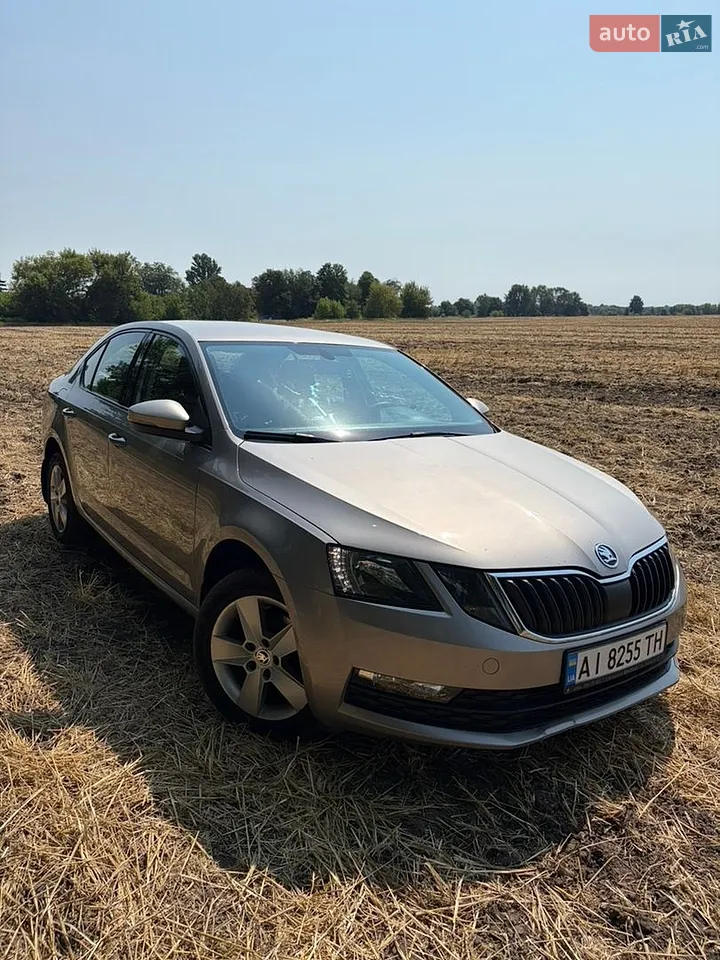 2017 Skoda Octavia - мініатюра 29