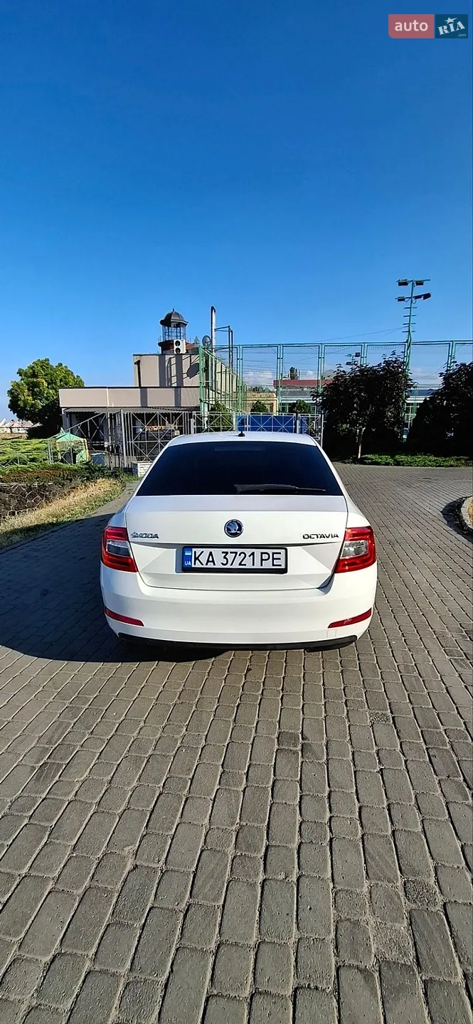 2016 Skoda Octavia - мініатюра 11