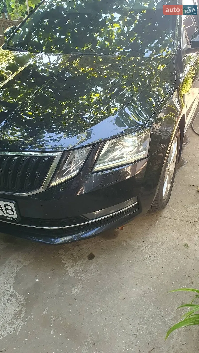 2018 Skoda Octavia - мініатюра 8
