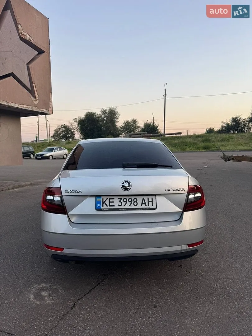 2017 Skoda Octavia - мініатюра 4