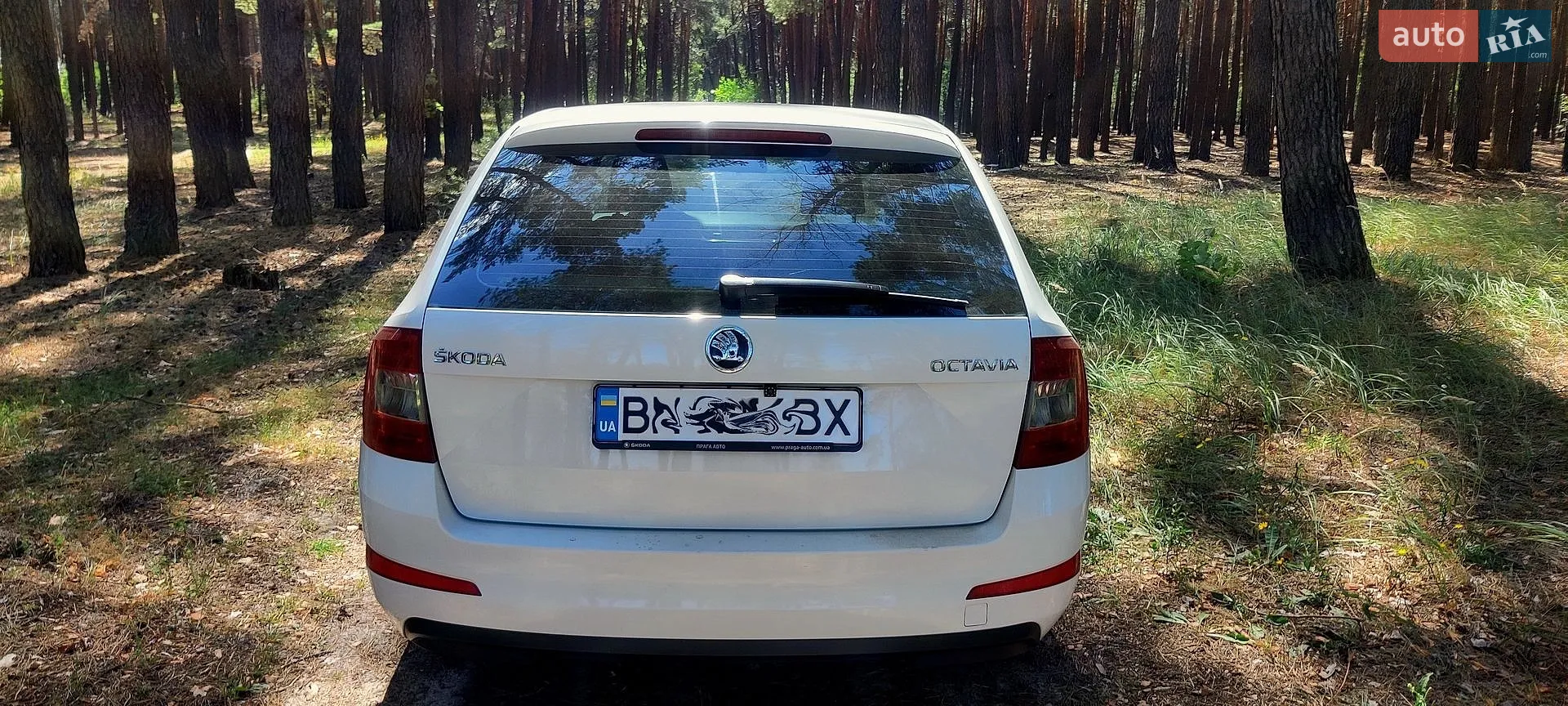 2015 Skoda Octavia - мініатюра 10