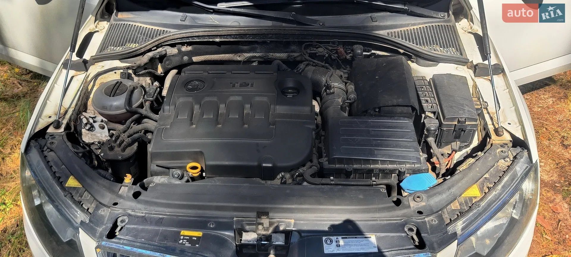 2015 Skoda Octavia - мініатюра 9