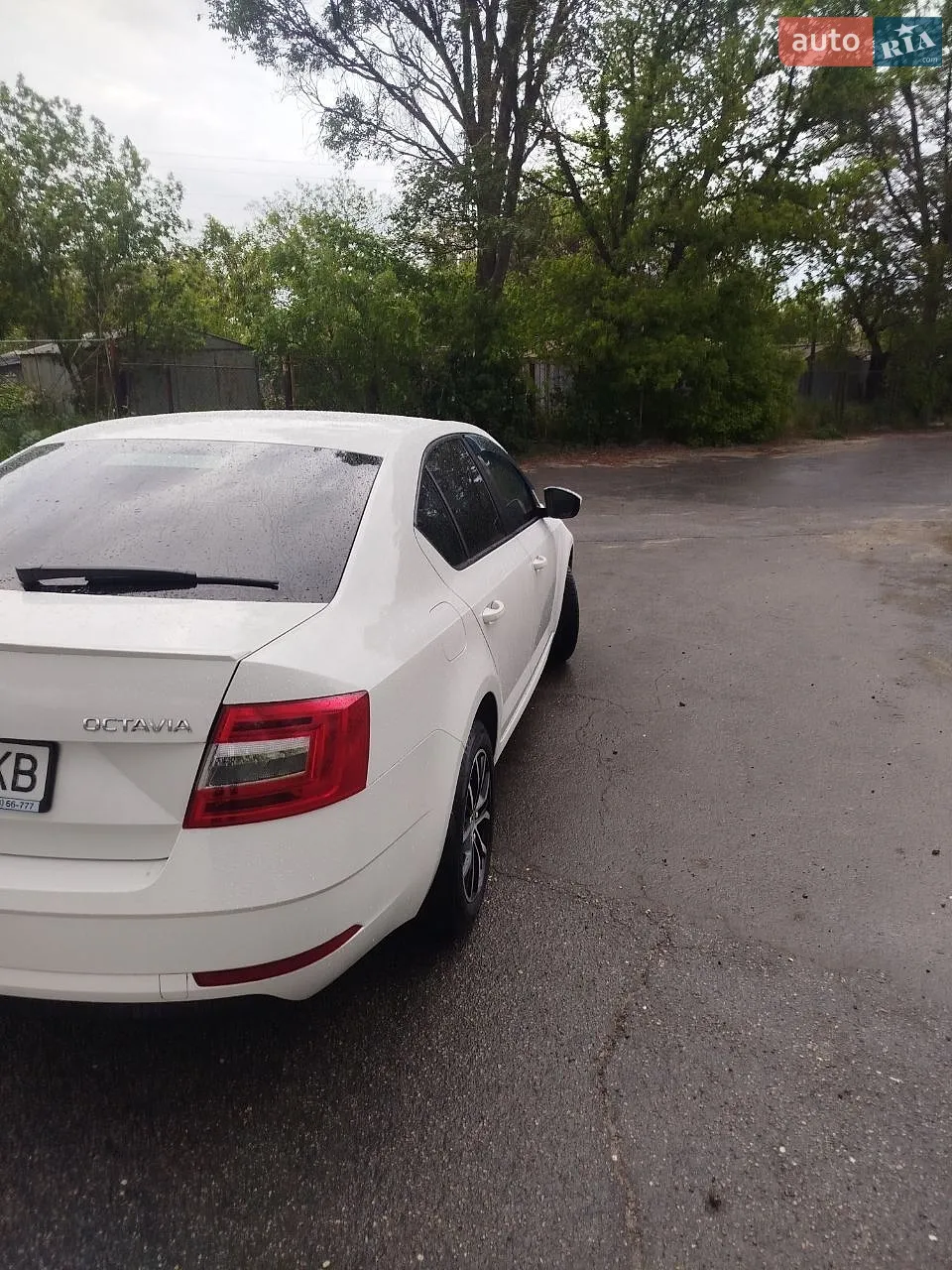 2017 Skoda Octavia - мініатюра 4