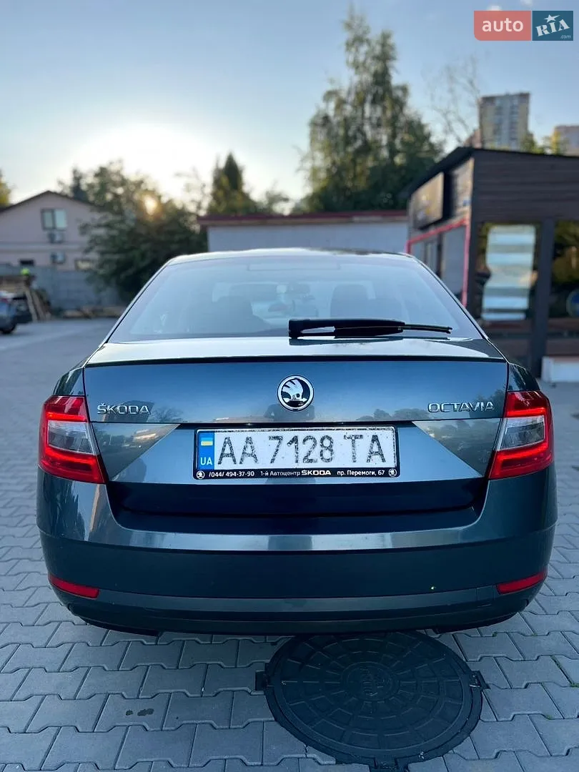 2017 Skoda Octavia - мініатюра 20