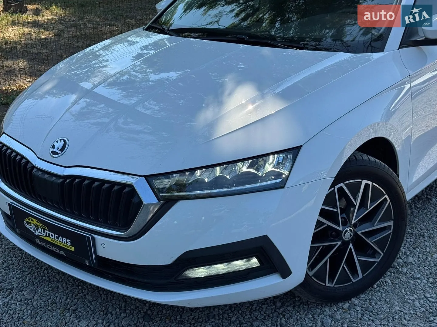 2020 Skoda Octavia - мініатюра 3