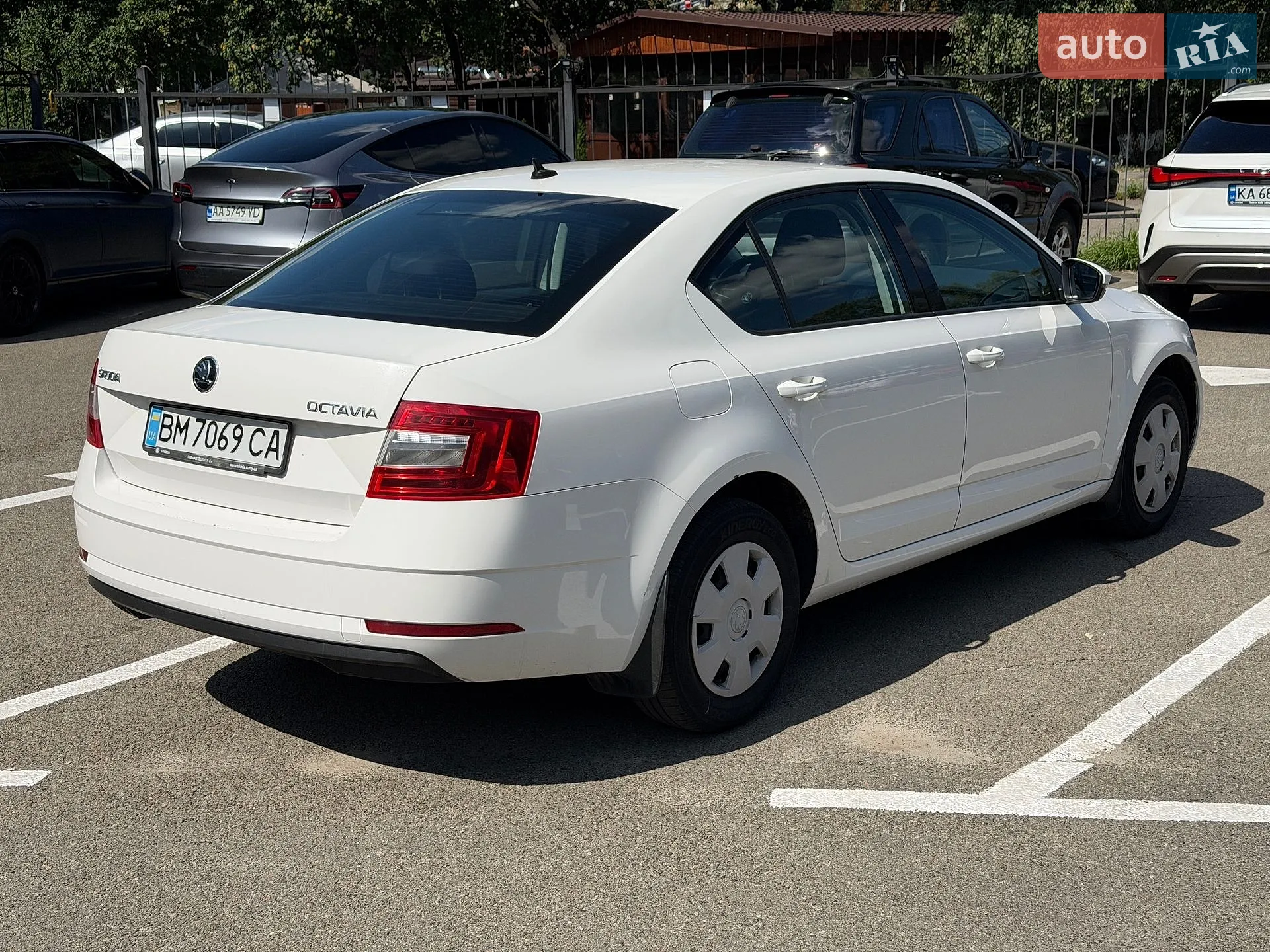 2019 Skoda Octavia - мініатюра 6