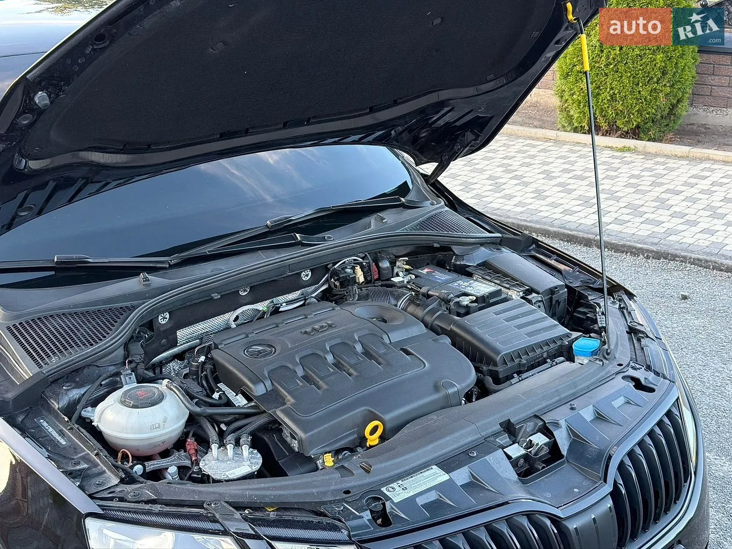 2019 Skoda Octavia - мініатюра 64