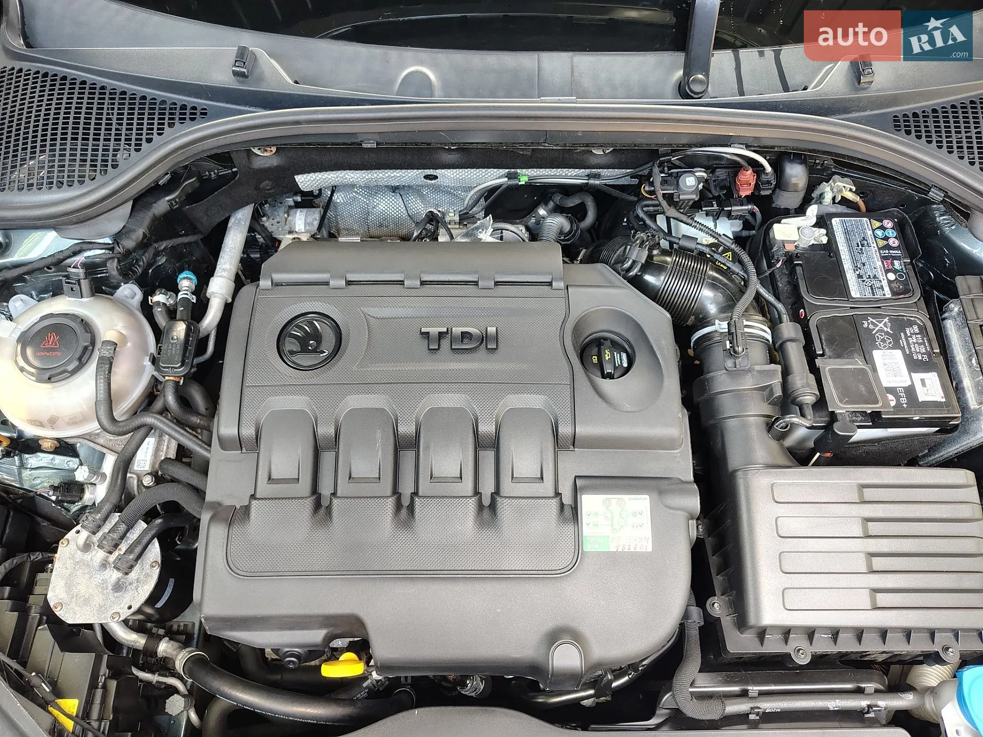 2017 Skoda Octavia - мініатюра 16
