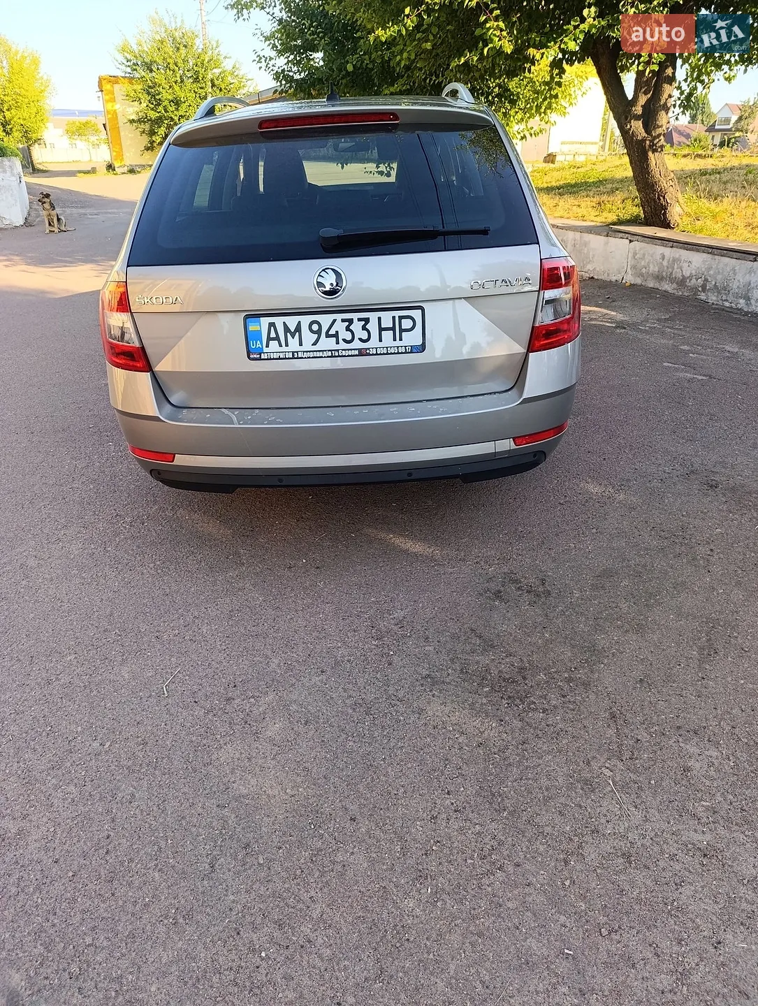 2018 Skoda Octavia - мініатюра 3