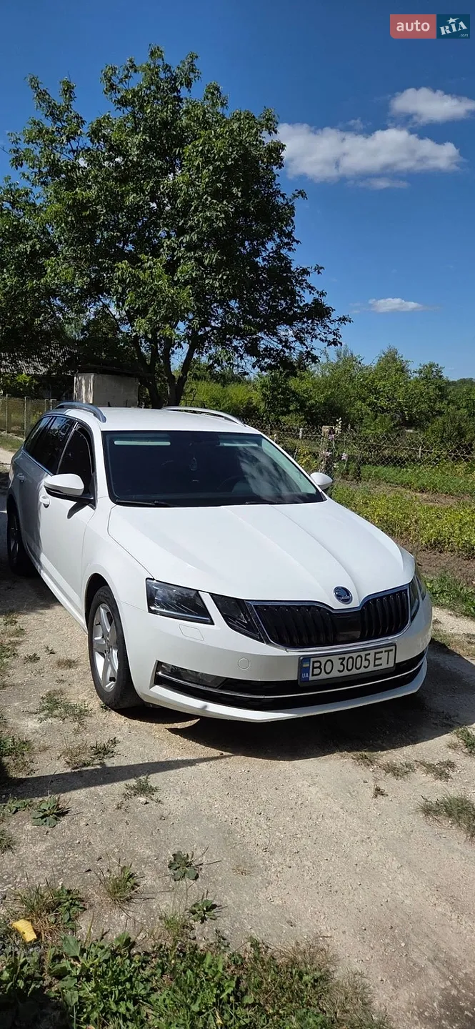 2017 Skoda Octavia - мініатюра 19