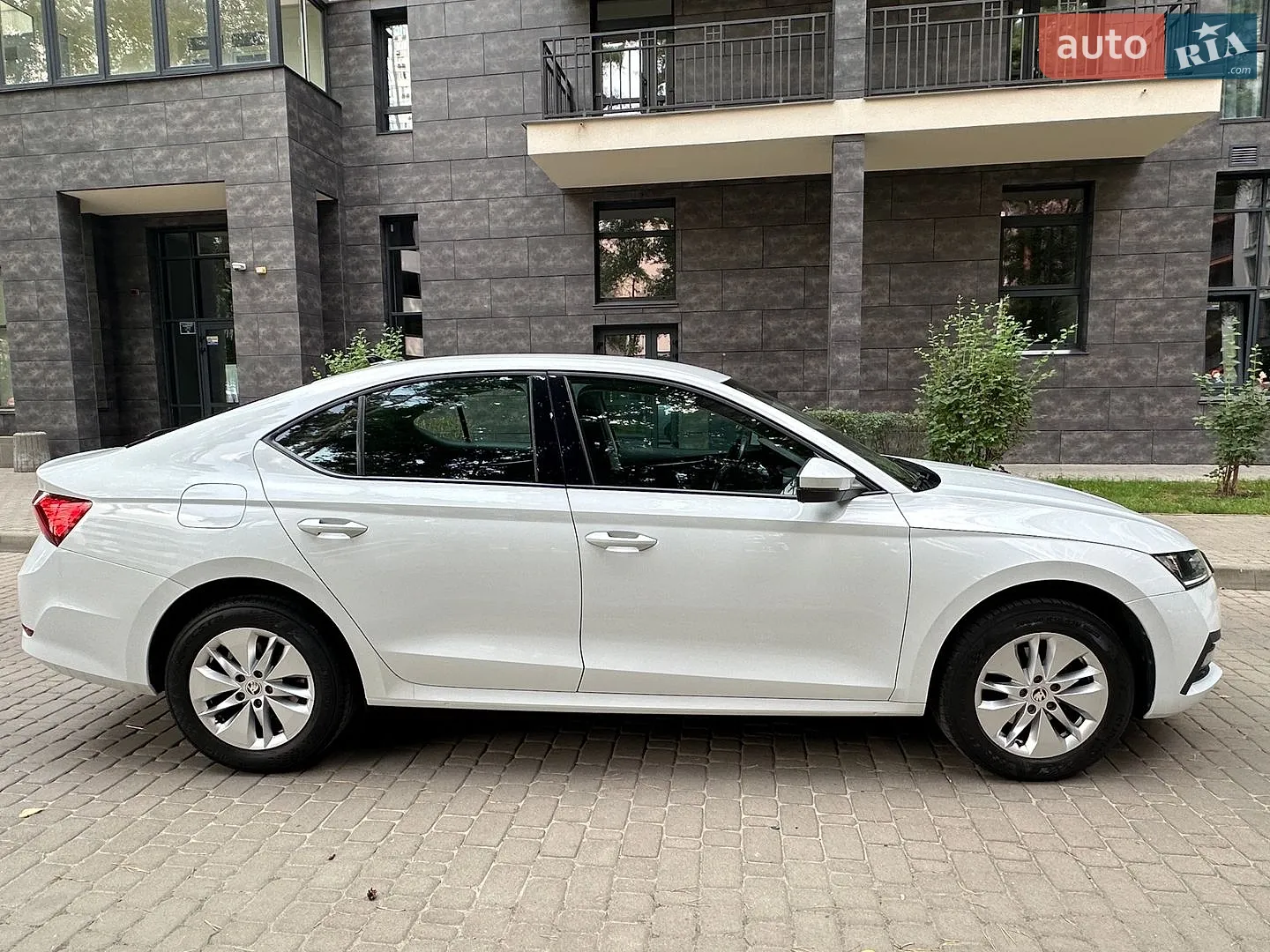 2021 Skoda Octavia - мініатюра 10