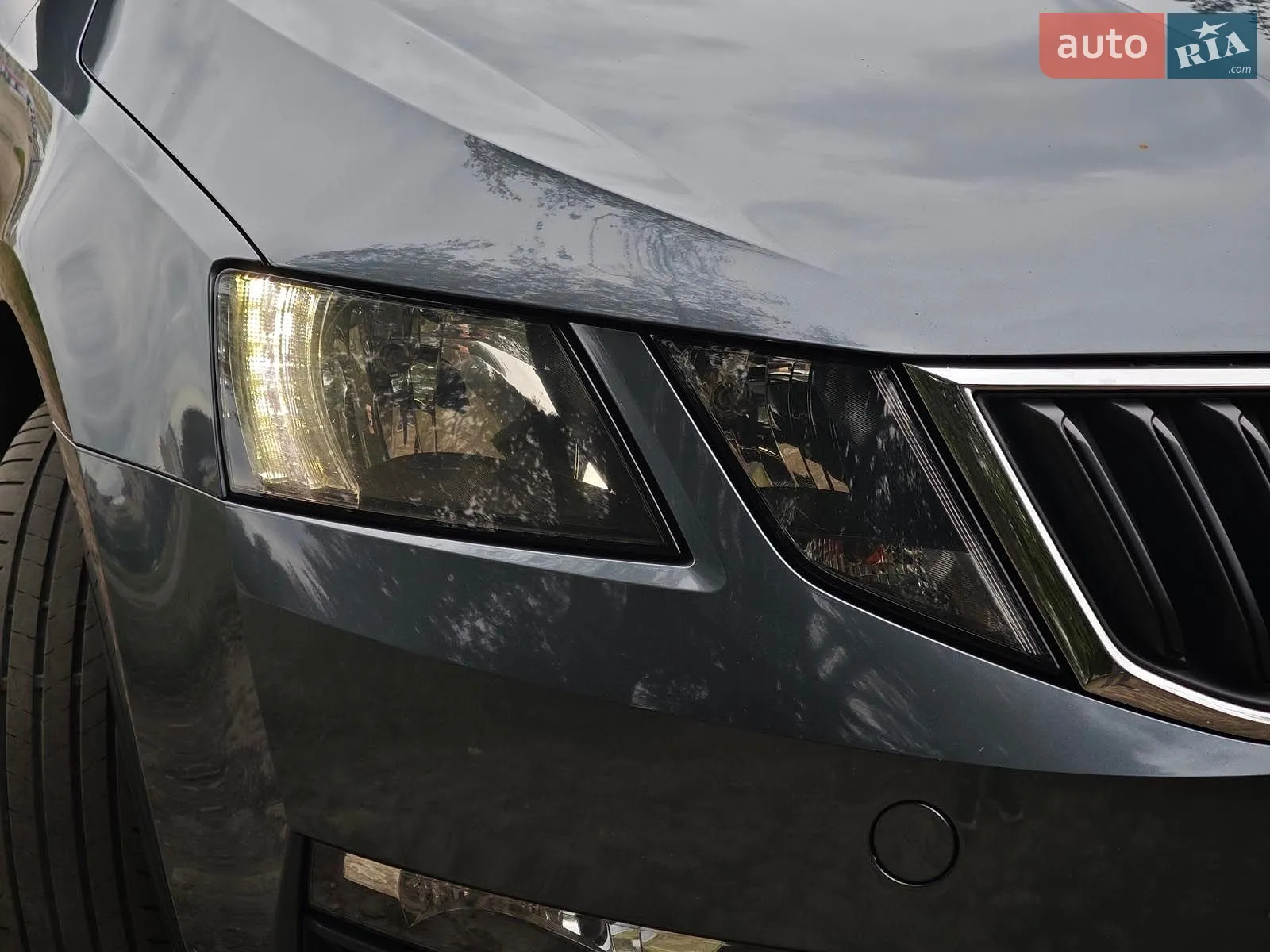 2019 Skoda Octavia - мініатюра 4