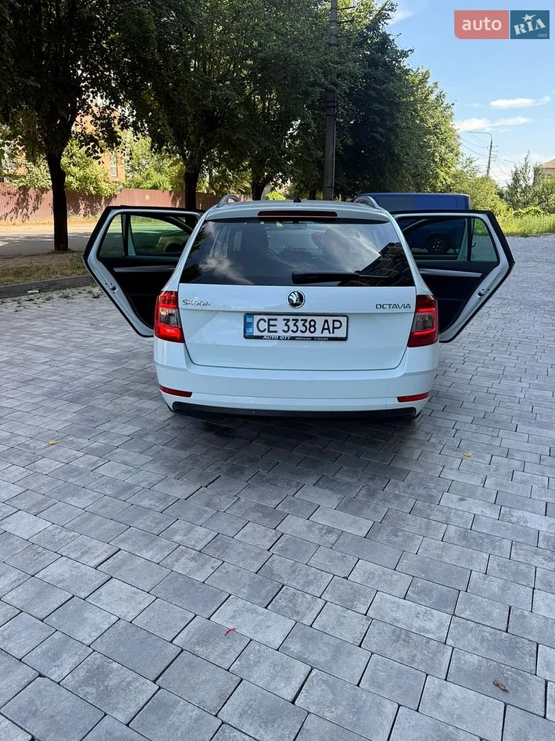 2017 Skoda Octavia - мініатюра 4