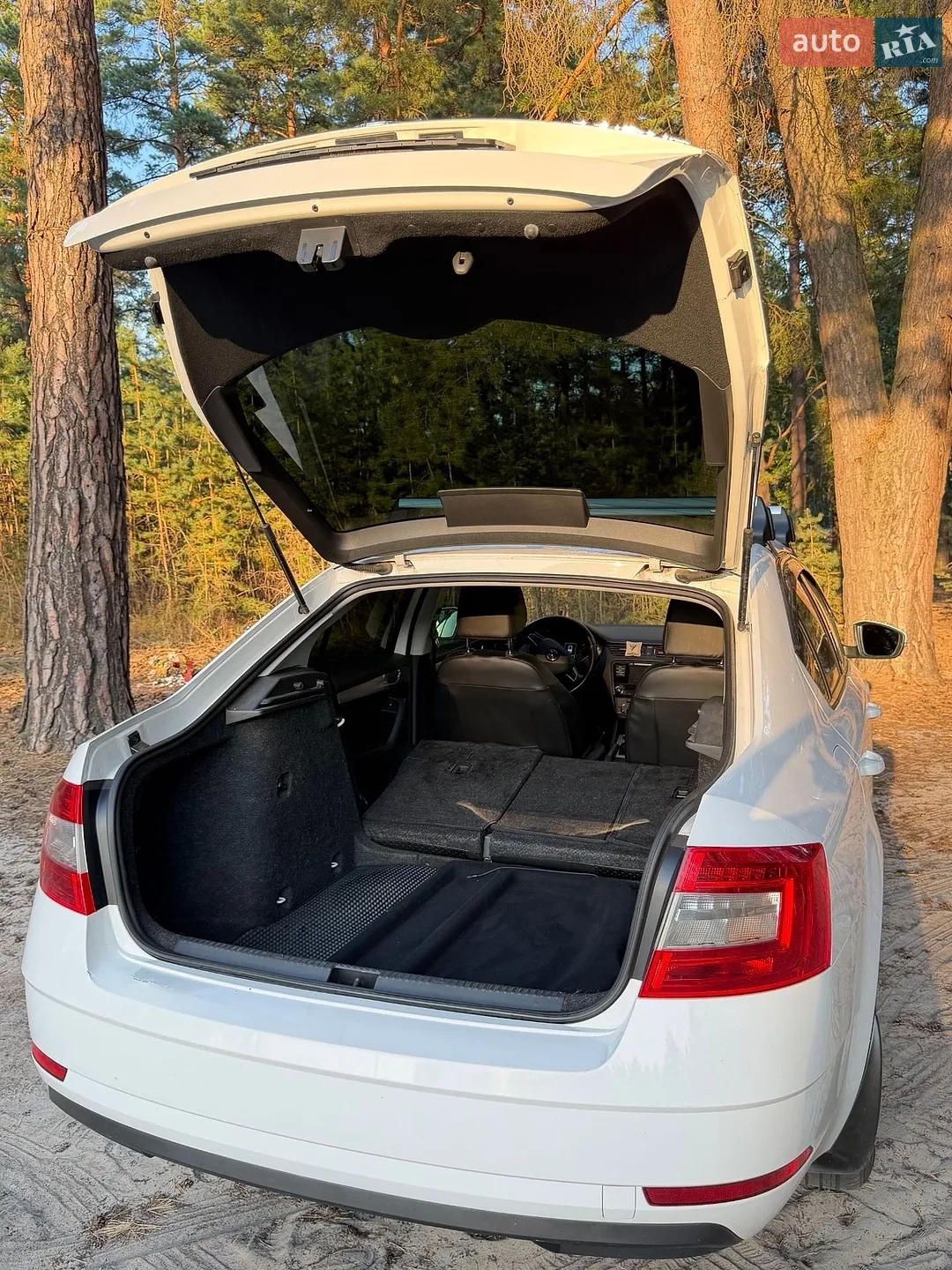 2020 Skoda Octavia - мініатюра 8
