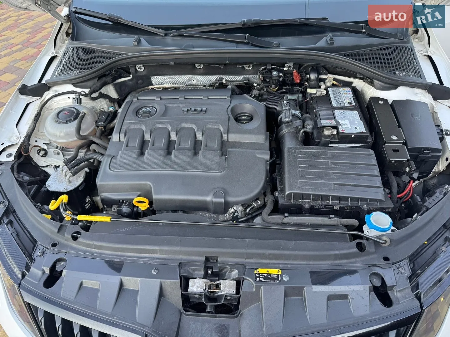 2018 Skoda Octavia - мініатюра 26