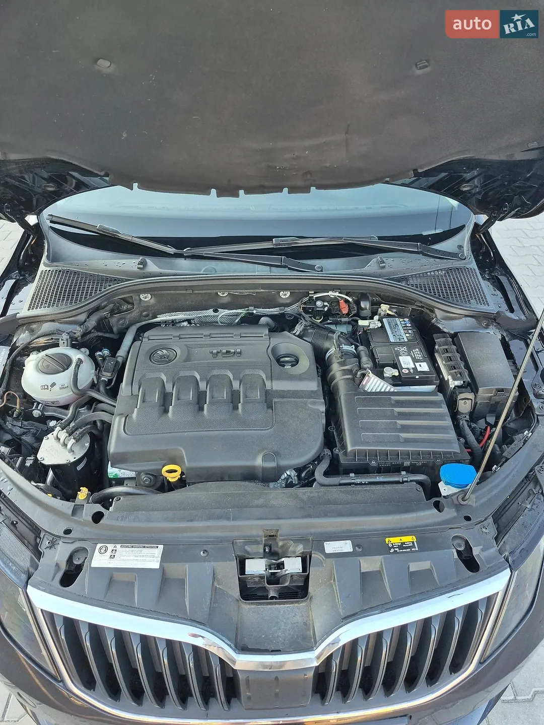 2018 Skoda Octavia - мініатюра 23