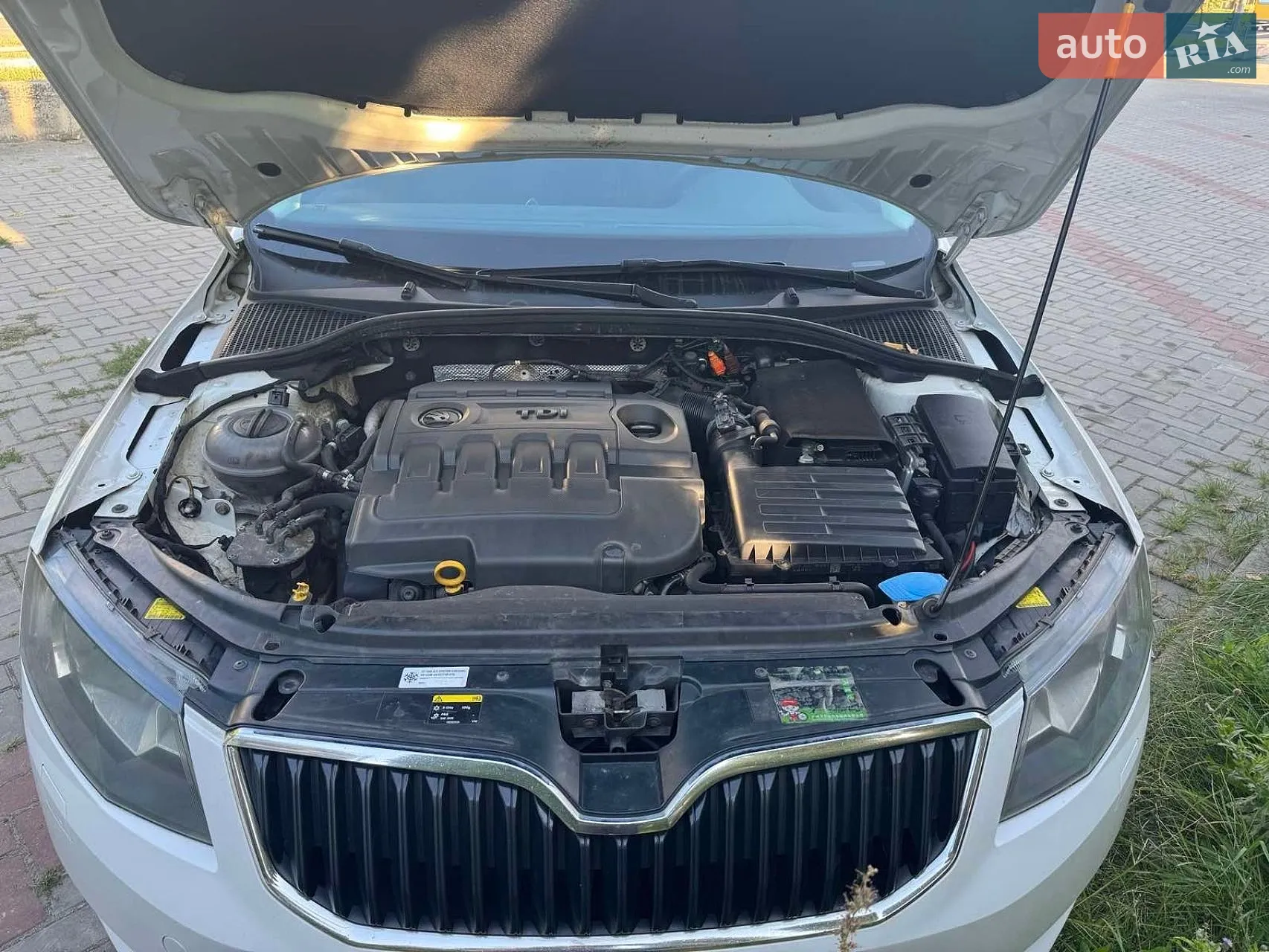 2014 Skoda Octavia - мініатюра 7