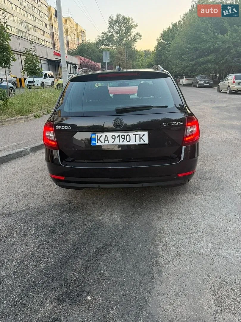2019 Skoda Octavia - мініатюра 5
