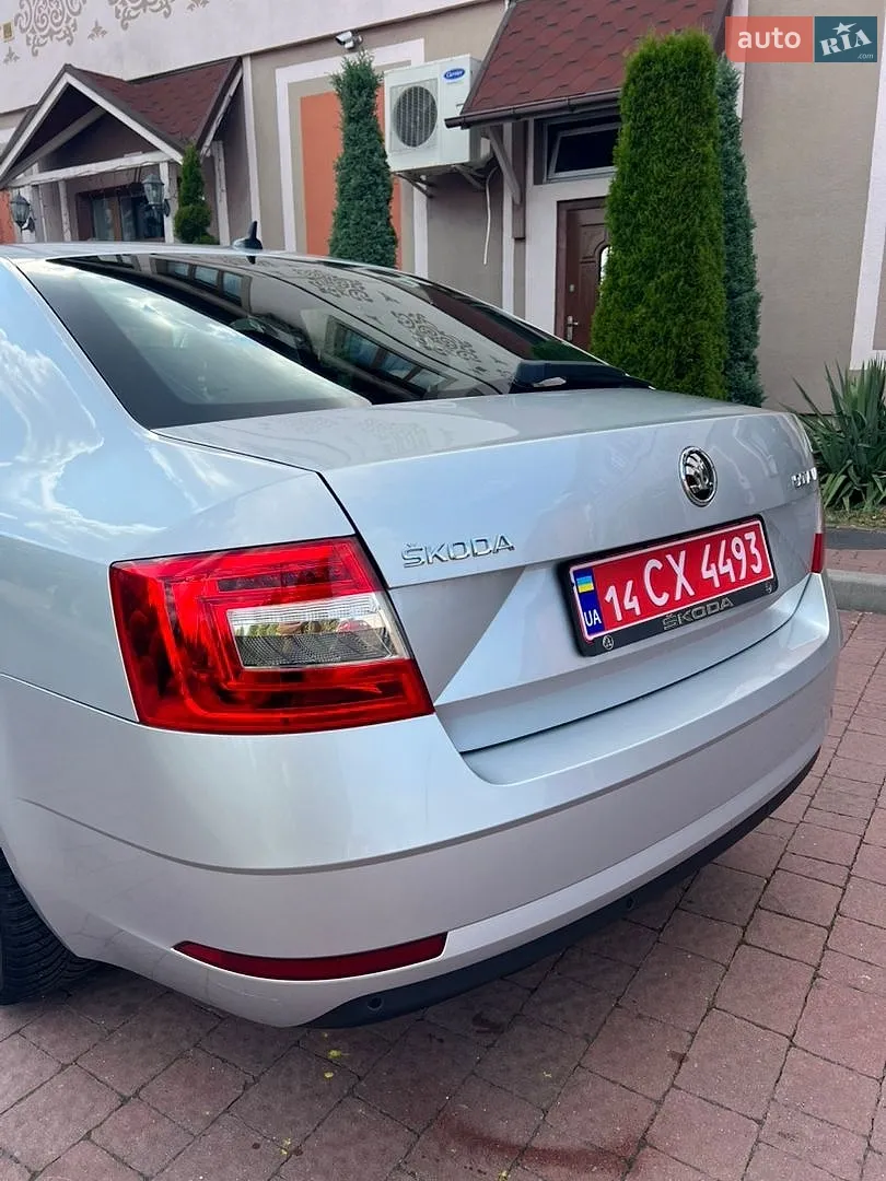 2019 Skoda Octavia - мініатюра 13