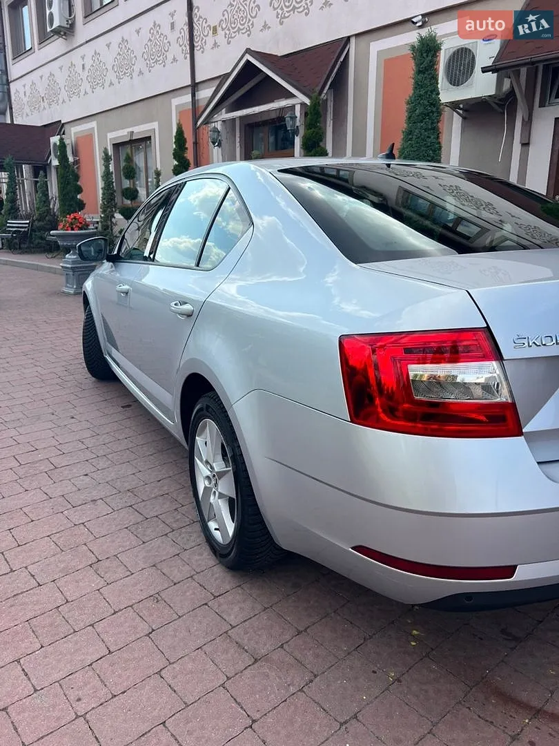 2019 Skoda Octavia - мініатюра 11