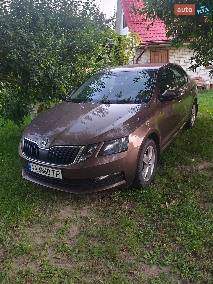 2019 Skoda Octavia - мініатюра 27