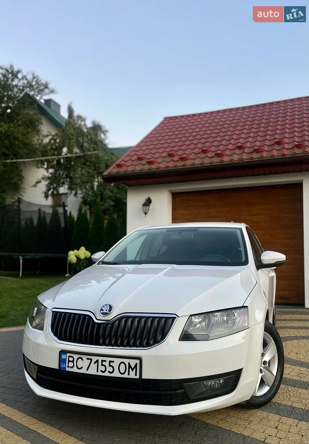 2016 Skoda Octavia - мініатюра 3